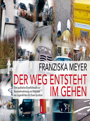 cover image of Der Weg entsteht im Gehen
